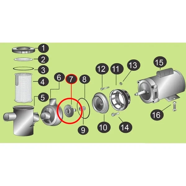 Rotor 1/2cv Para Bomba Motobomba Piscina Mbf Mb Hidrasul