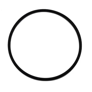 Anel Borracha Vedacao Tampa Pre Filtro Piscina Acf Syllent