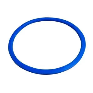 Junta Borracha Vedacao (bracket) Bomba Piscina Hidrasul