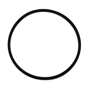 Anel-oring-vedacao-da-tampa-filtro-areia-acf 3